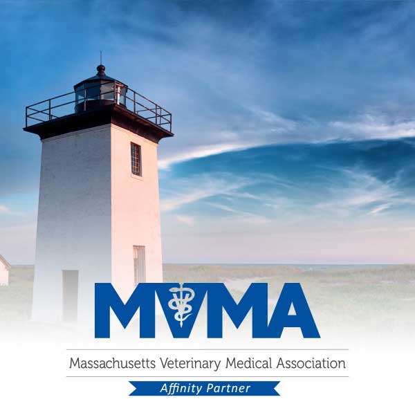 MVMA Exclusive Member Rates