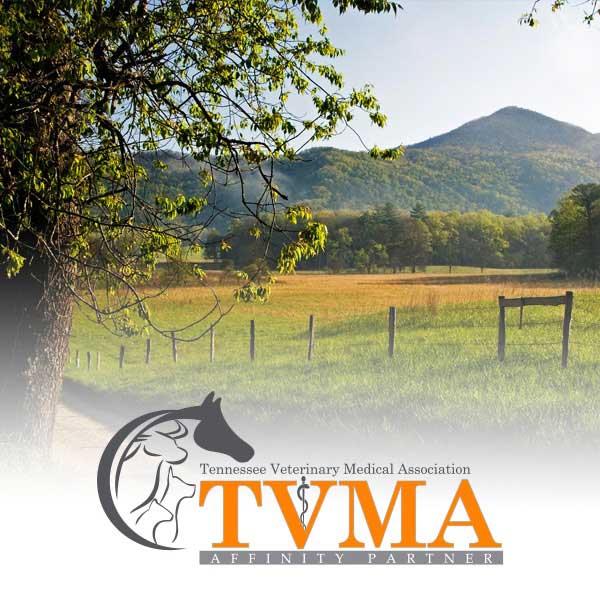 TVMA Exclusive Member Rates