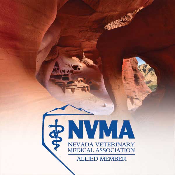NVMA Exclusive Member Rates