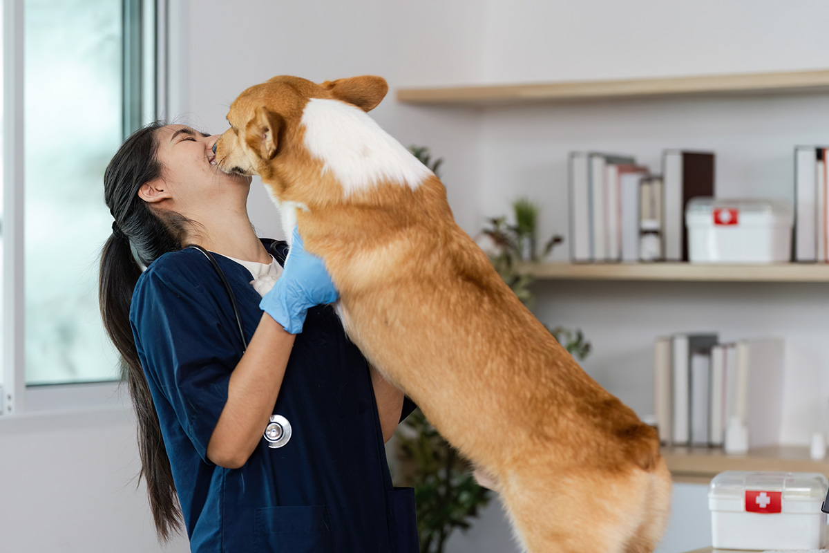 dog licking vet tech